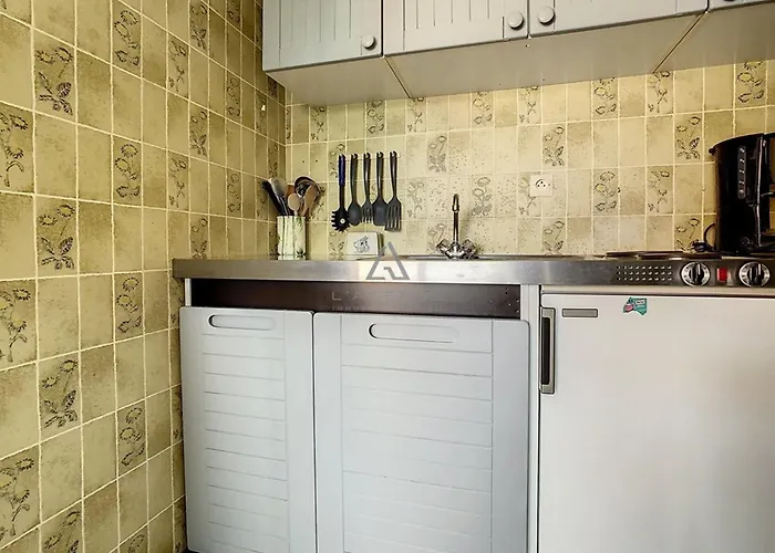 Avec Balcon, 1 Chambre, Parking, A 500m Du Centre, 1km De La - Fr-1-236-67 * Stella-Plage